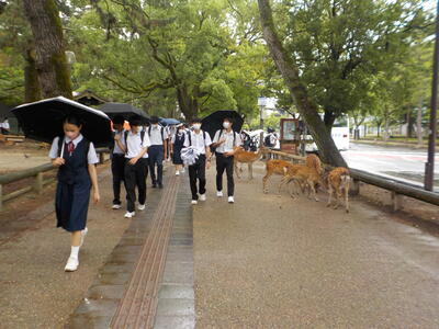 京都奈良６