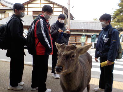 奈良公園５